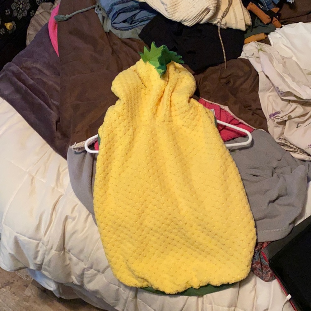L Pineapple Dog Costume from Target